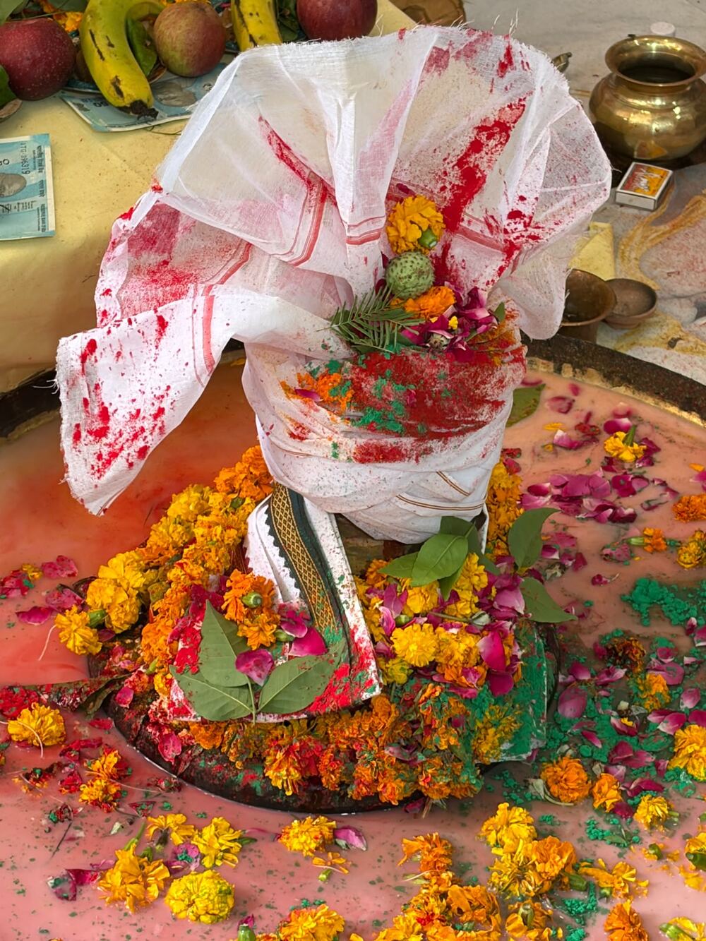 रुद्राभिषेक तस्वीर 1