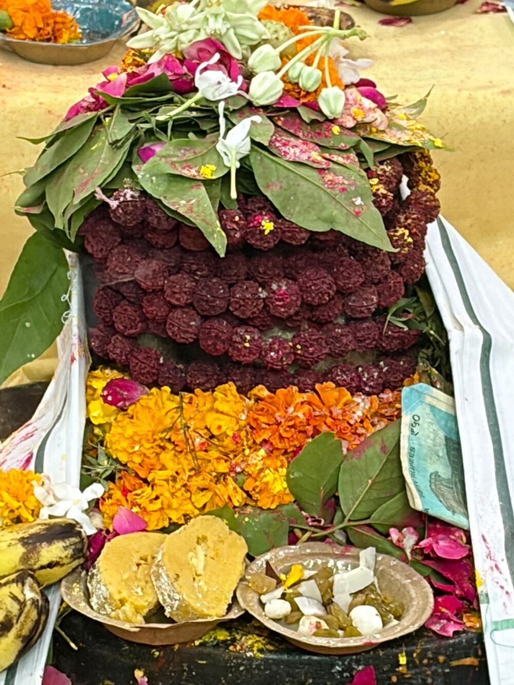 रुद्राभिषेक तस्वीर 2