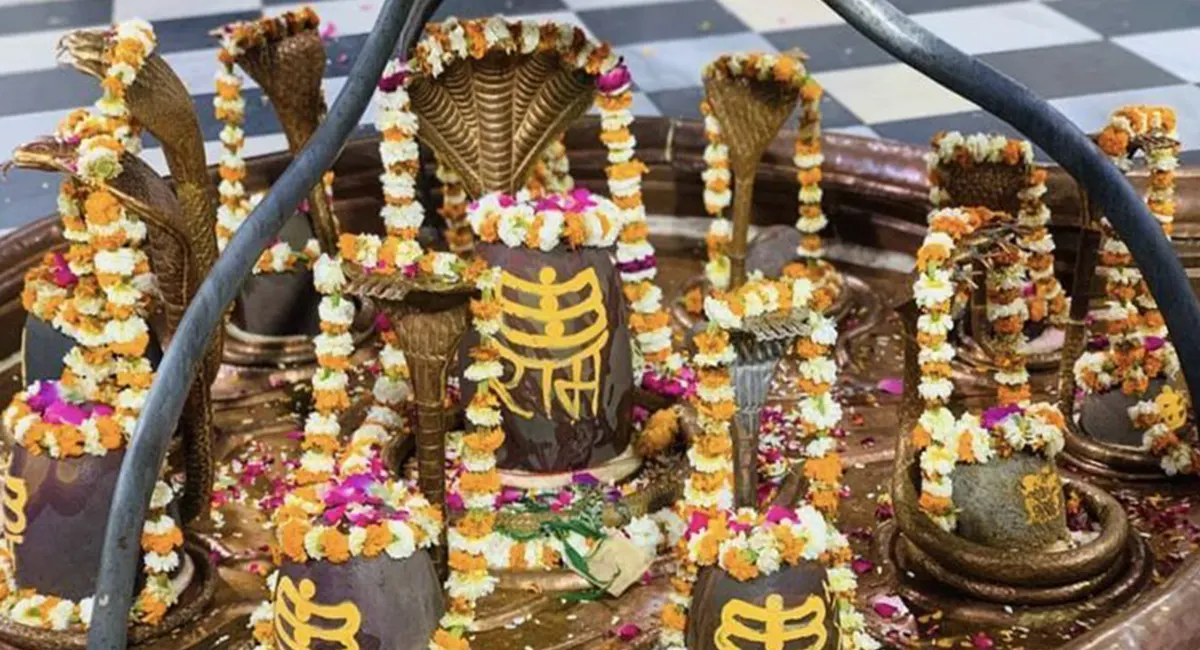 Parthiv Shivling Rudraabhishek Image 1