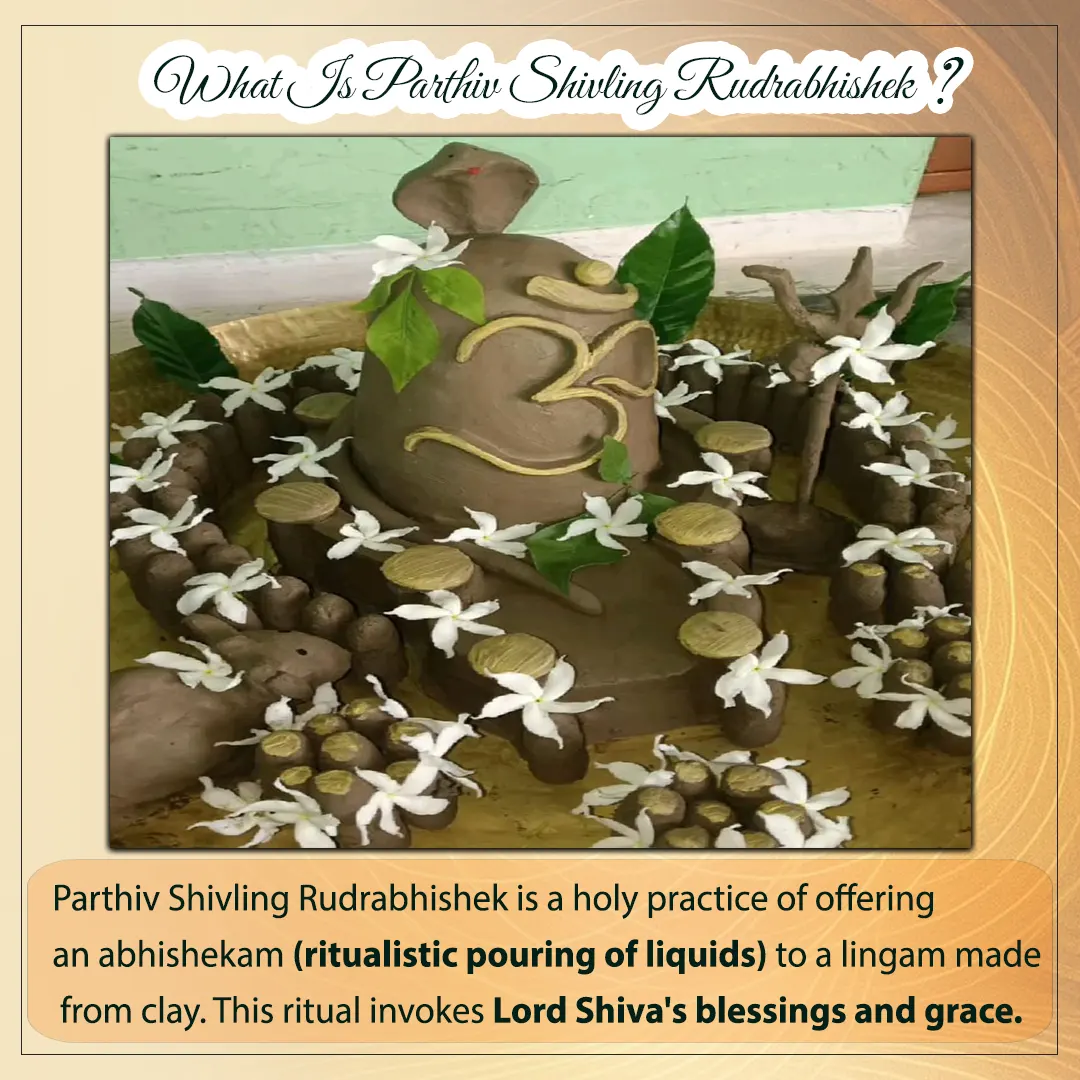 Parthiv Shivling Rudraabhishek Image 1