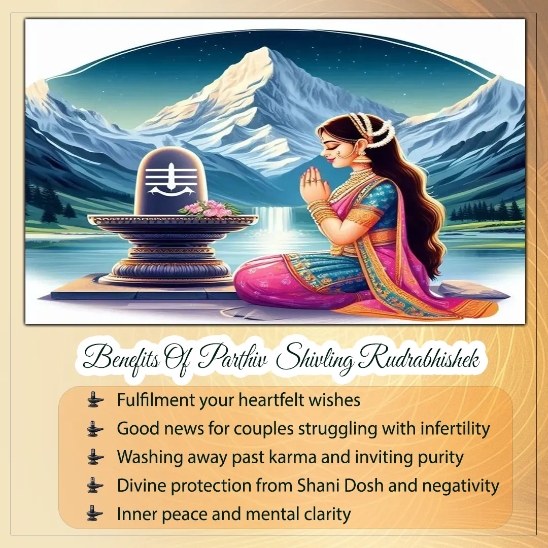Parthiv Shivling Rudraabhishek Image 2