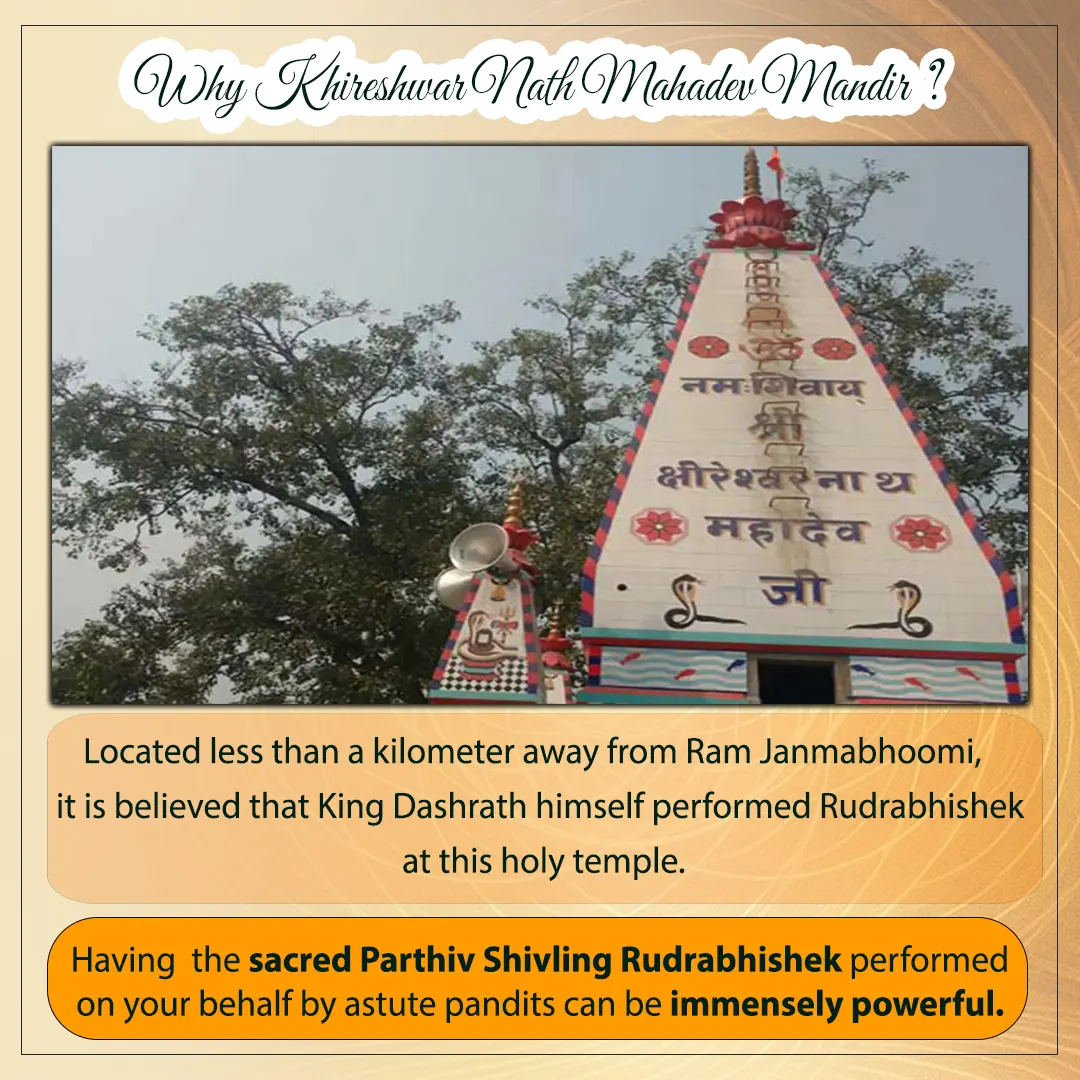 Parthiv Shivling Rudraabhishek Image 3